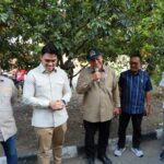 WhatsApp Image 2025 09 15 at 19.22.00